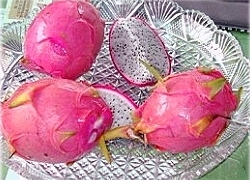 dragonfruit